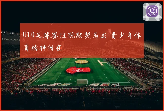 U10足球赛惊现默契乌龙 青少年体育精神何在